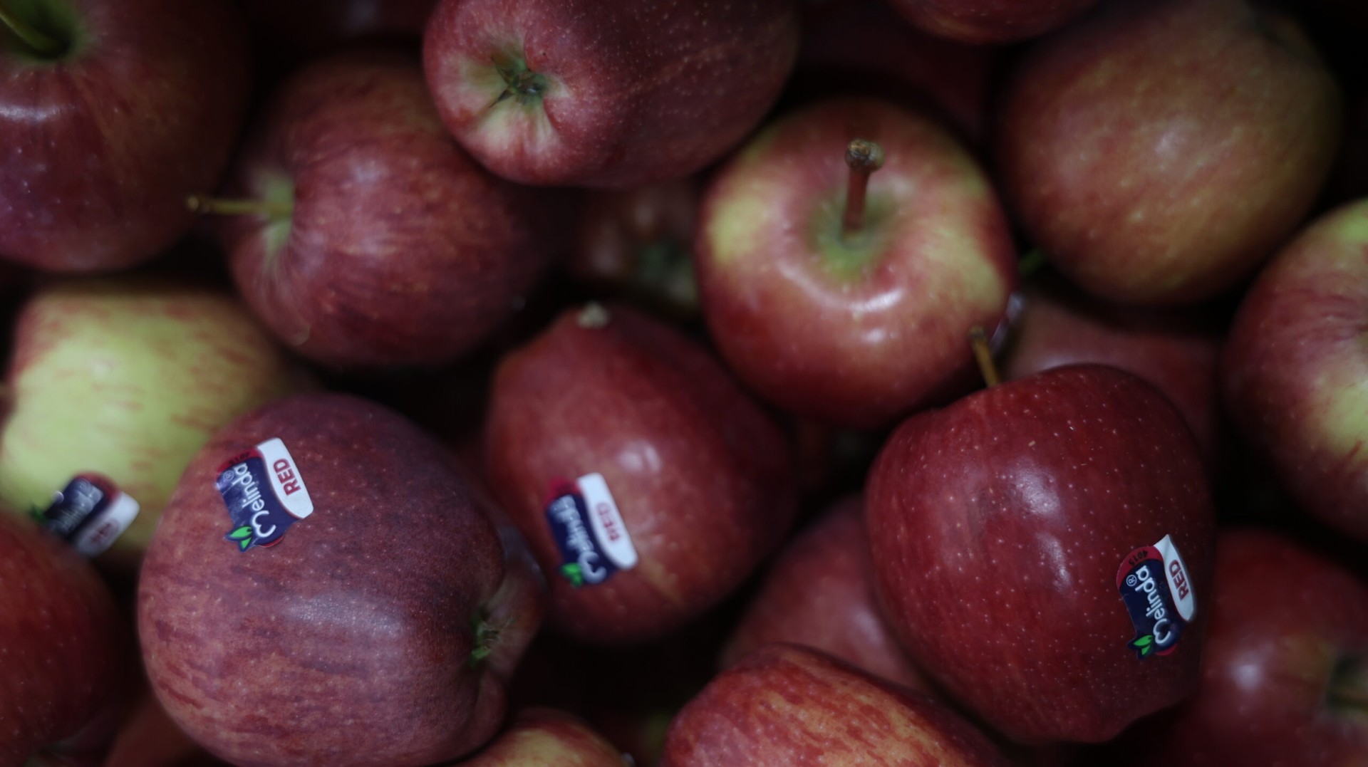 Mani che selezionano ortofrutta fresca in cassette di legno